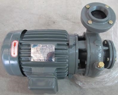  Motor TECO 2HP- Mô tơ bơm nước 1,5kW điện 3pha.