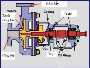 cau-tao-may-bom-chua-chay